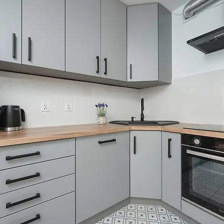 Spacious In Center With Balcony And Desk By Renters * 弗罗茨瓦夫